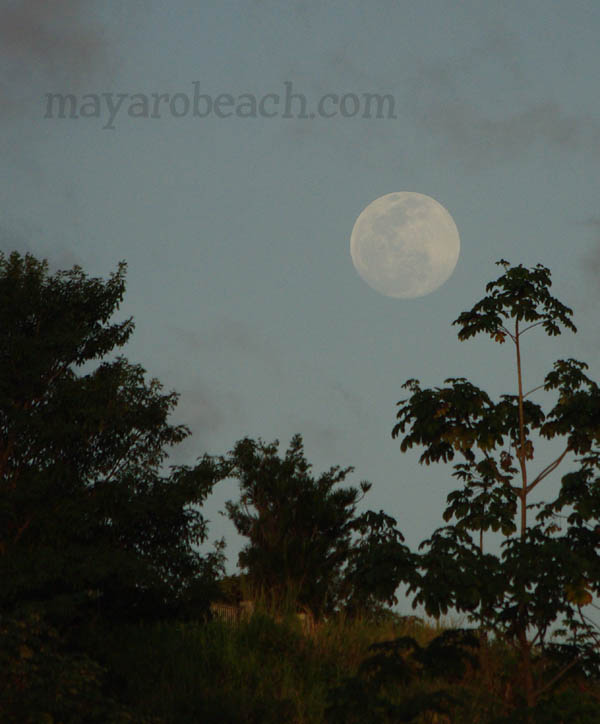 December 30th 2009 - Full Moon at St. Augustine, Trinidad and Tobago